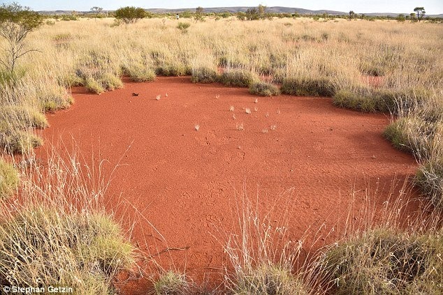 Hình tròn bí ẩn nghi dấu vết người ngoài hành tinh ở Australia