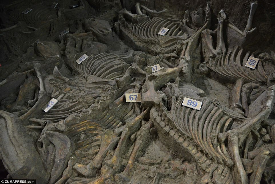 In the vicinity of the Lord’s tomb, archaeologists have unearthed a burial pit containing the remains of 100 horse skeletons dating back 2,400 years