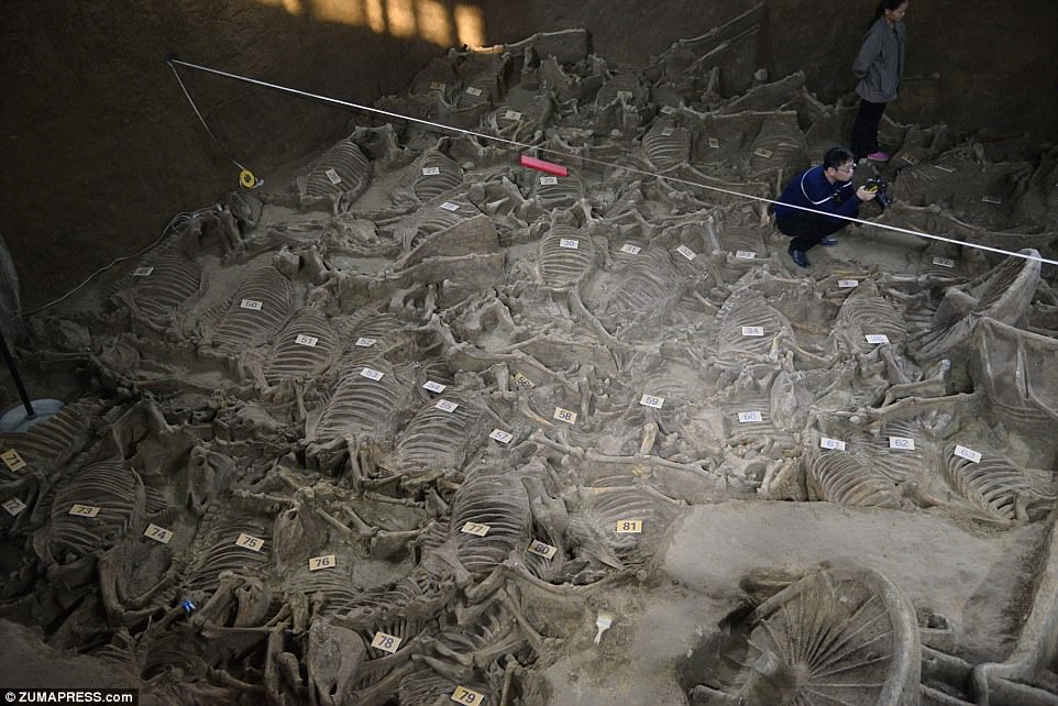 In the vicinity of the Lord’s tomb, archaeologists have unearthed a burial pit containing the remains of 100 horse skeletons dating back 2,400 years