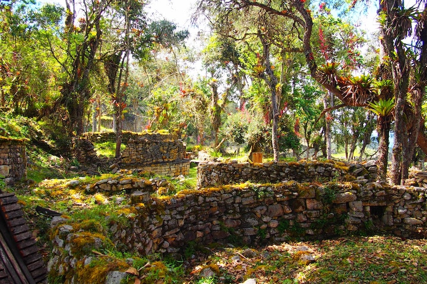 Ruins of more than 400 houses