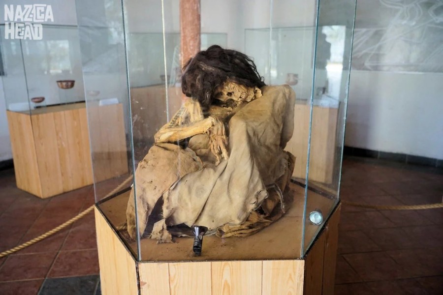 The Paracas Culture: Art, Medicine, and Mummification in Ancient Peru