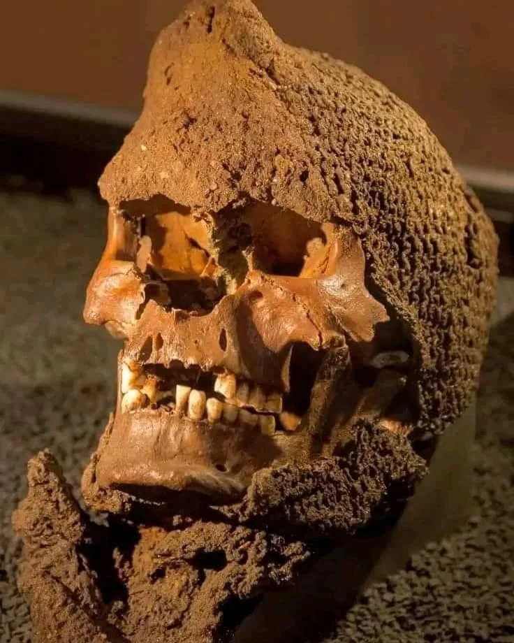 A mediaeval chainmail skull was discovered in a vast Swedish cemetery - BAP NEWS